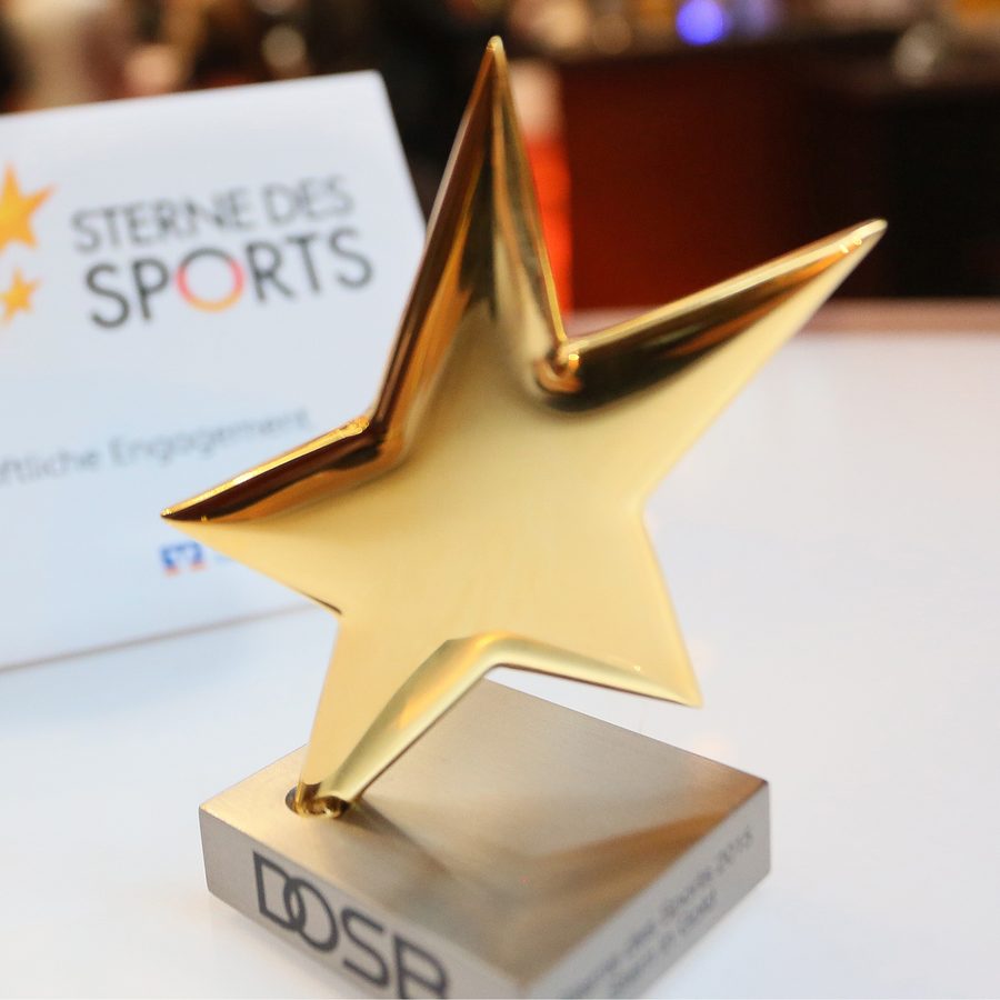 Sterne des Sport in Gold: Mit Klick zum Artikel