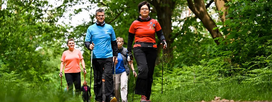 Gruppe beim Nordic Walking im Wald