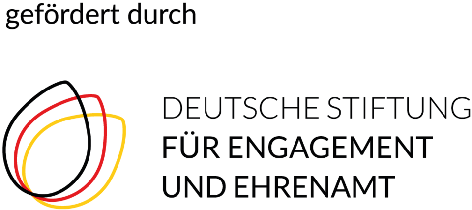 Logo der Deutschen Stiftung für Engagement und Ehrenamt und Link zur Website
