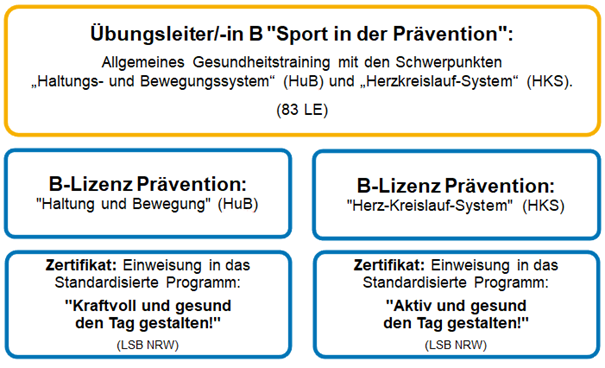 Schema Ausbildung zum Übungsleiter "Sport in der Prävention" - Aufbau der verschiedenen Übungsmodule