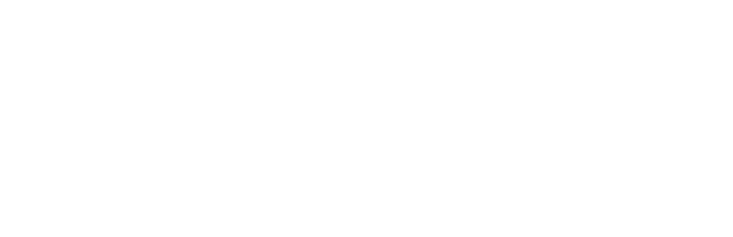 Vom Hobby   zum Beruf