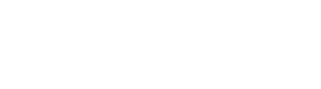 Die Schule    des Hammers