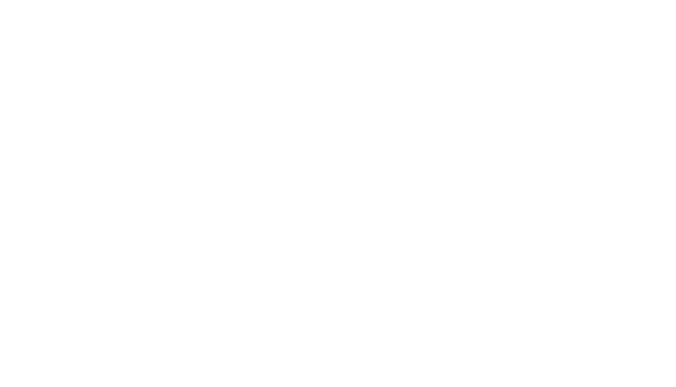 Vom Fliegen und     Fahren