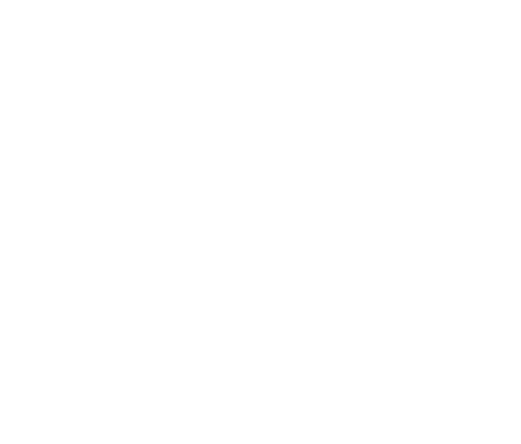 Von dem B rsianer Stephan Sarter erbaut, der   so hei t es   niemals auch nur eine Nacht in der schon damals s ndhaft   