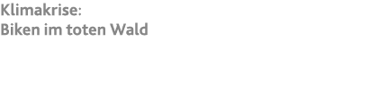 Klimakrise: Biken im toten Wald