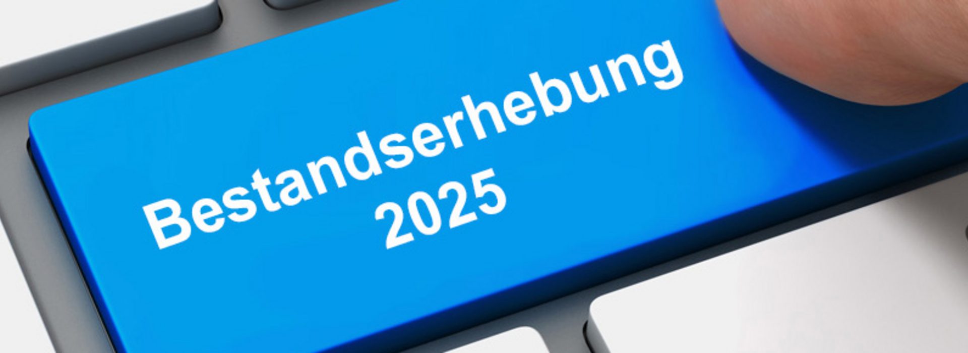 Bestandserhebung 2025 abgeschlossen