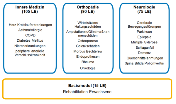 Schema Ausbildung zum/zur Übungsleiter*in - B Rehabilitation Erwachsene - Verschiedene Aufbaumodule