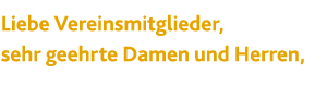 Liebe Vereinsmitglieder, sehr geehrte Damen und Herren,