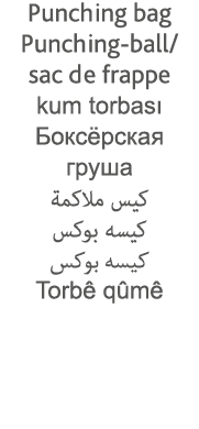 Punching bag Punching-ball  sac de frappe kum torbası                                                 Torbê qûmê