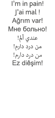 I m in pain  J ai mal   Ağrım var                                                  Ez diêşim  