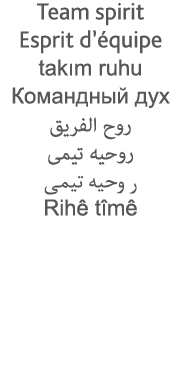 Team spirit Esprit d équipe takım ruhu                                                 Rihê tîmê 