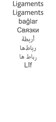 Ligaments Ligaments bağlar                              Lîf 