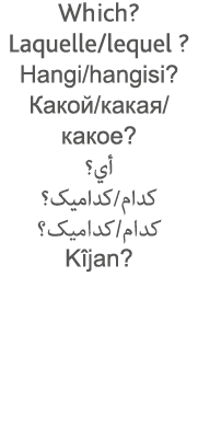Which  Laquelle lequel   Hangi hangisi                                                   Kîjan  