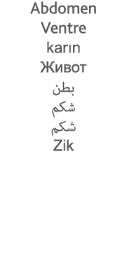 Abdomen Ventre karın                   Zik 