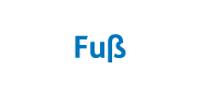 Fuß