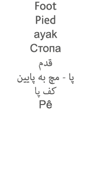 Foot Pied ayak              -                   Pê