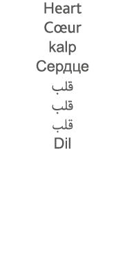 Heart Cœur kalp                    Dil