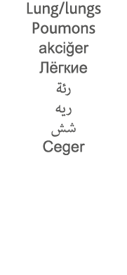 Lung lungs Poumons akciğer                   Ceger