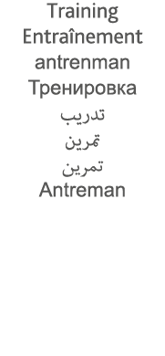 Training Entraînement antrenman                              Antreman