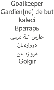 Goalkeeper Gardien(ne) de but kaleci              *                              Golgir