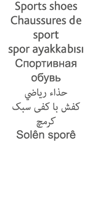 Sports shoes Chaussures de sport spor ayakkabısı                                                 Solên sporê 
