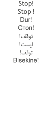 Stop  Stop   Dur                          Bisekine  