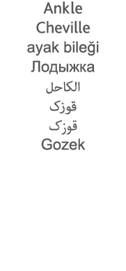 Ankle Cheville ayak bileği                          Gozek