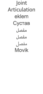Joint Articulation eklem                       Movik