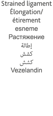 Strained ligament Élongation  étirement esneme                          Vezelandin