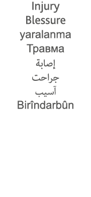 Injury Blessure yaralanma                         Birîndarbûn 