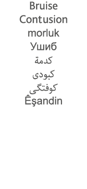 Bruise Contusion morluk                        Êşandin
