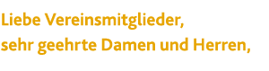Liebe Vereinsmitglieder, sehr geehrte Damen und Herren,